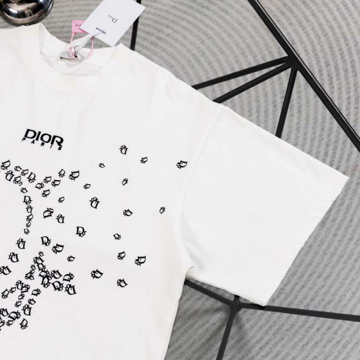 Dior T Shirts Short _SKUDiorS-XLaatx1315789